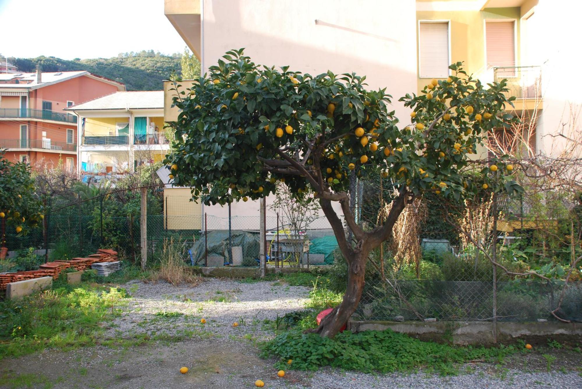 Apartamento Tinetto Brezza Di Mare Deiva Marina Exterior foto